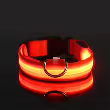 LED Adjustable Dog Collar Blinking Flashing Light up Glow Pets Safety Waterproof