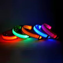 LED Adjustable Dog Collar Blinking Flashing Light up Glow Pets Safety Waterproof