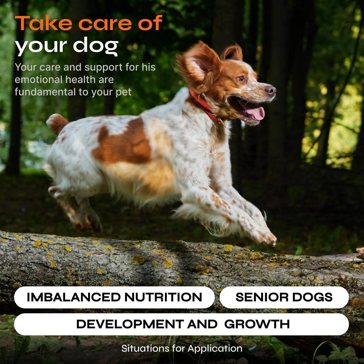 Dog Multivitamin Chews Vitamins 15 in 1 Joint Supplement for Dogs for Hip Joint