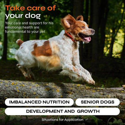 Dog Multivitamin Chews Vitamins 15 in 1 Joint Supplement for Dogs for Hip Joint
